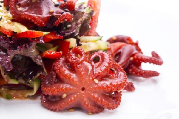 Pulpo escalfado - 18x250g.