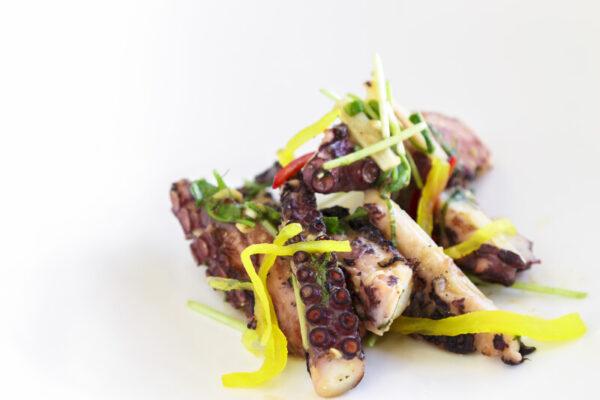 insalata di polipo - 10x200 g